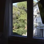 Monika 301 Forest In The