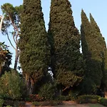 Monika 301 Forest In The 公寓 加尔达