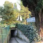 公寓 Monika 301 Forest In The 加尔达