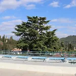 Monika 301 Forest In The