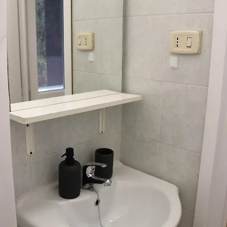 Apartment Forest In The
