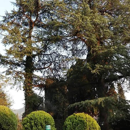 Apartamento Forest In The *