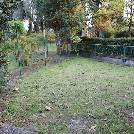 Apartment Forest In The