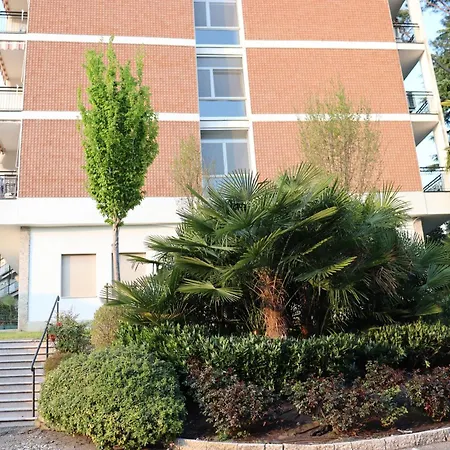 Apartment Forest In The *
