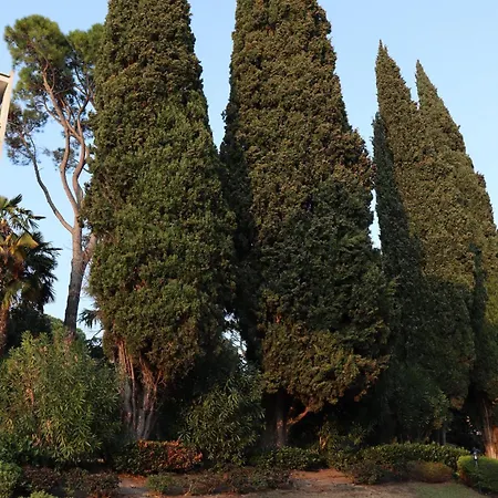 Forest In The Apartment Garda (Verona)