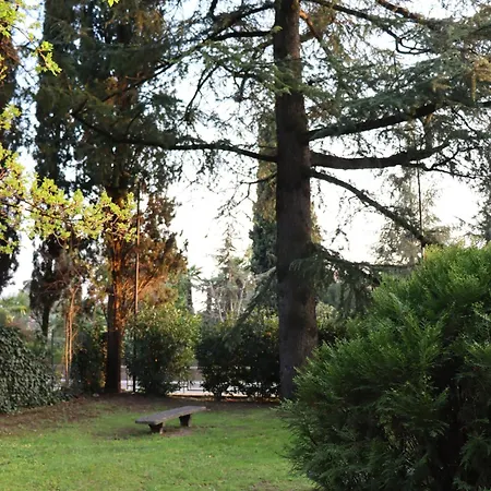 Apartment Forest In The