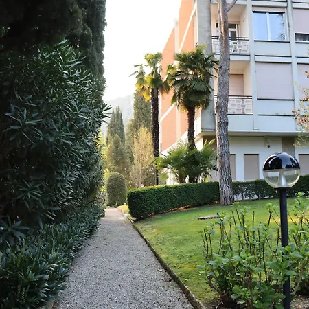 Apartment Forest In The *