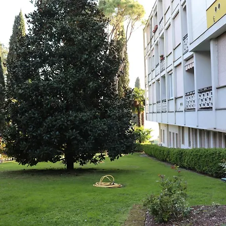 Forest In The Apartment