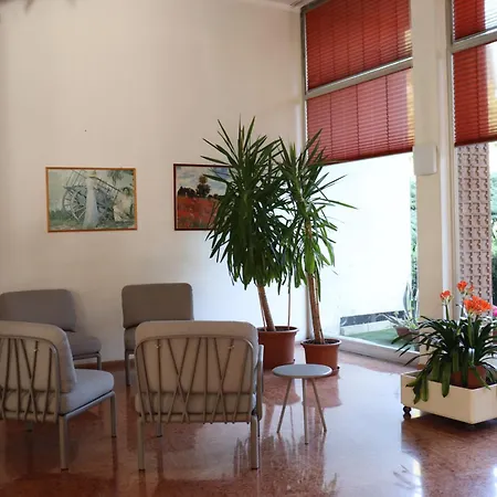 Forest In The Apartment