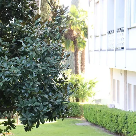 Forest In The Apartment Garda (Verona)