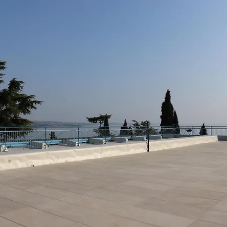 Monika 301 Forest In The
