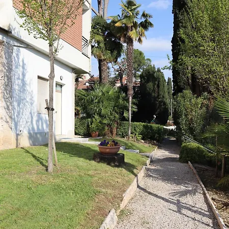 Apartment Forest In The